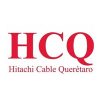 logo2.jpg logo2.jpg